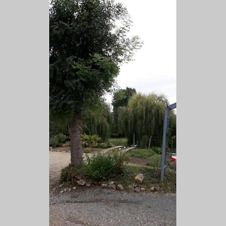 Entre Vignes Et Loire Apartment Blaison-Saint-Sulpice Exterior foto
