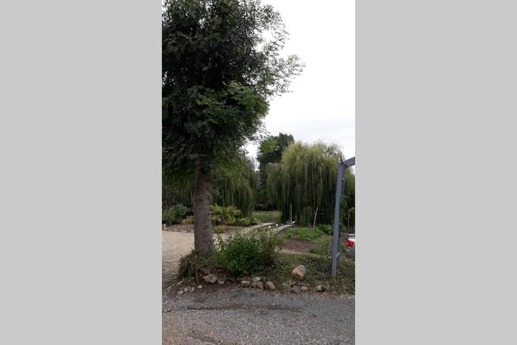 Entre Vignes Et Loire Apartment Blaison-Saint-Sulpice Exterior foto
